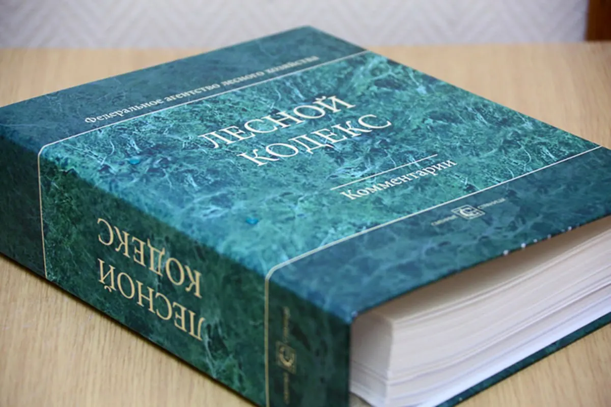 Специалисты отмечают, что многочисленные поправки делают кодекс неактуальным; эксперт предлагает заменить его простым и компактным документом.