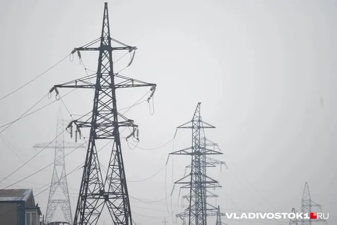 Минэкономразвития прогнозирует поэтапное повышение тарифов для населения Приморского края: с октября 2026 года начнётся индексация, к 2029 году городской тариф составит около 8,04 рубля за кВт·ч.