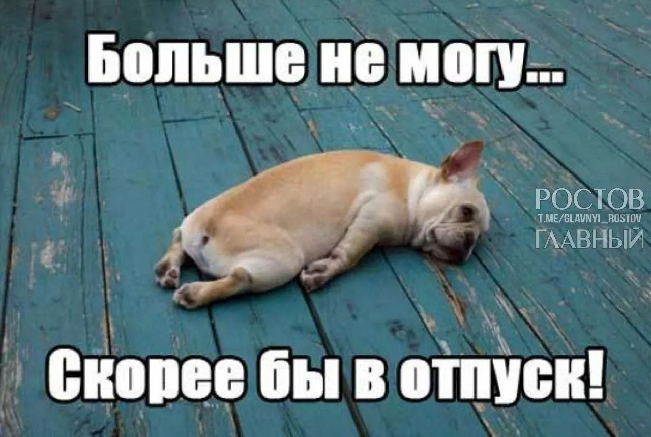 Депутаты предлагают повысить минимальную продолжительность ежегодного отпуска с 28 до 35 дней, аргументируя это компенсацией выходных, включённых в отпуск, и борьбой с профессиональным выгоранием.
