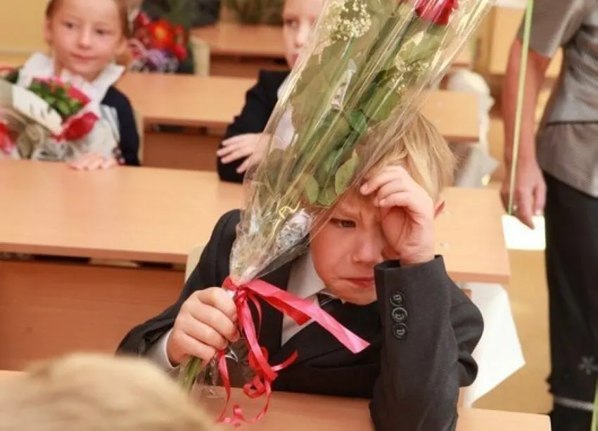 Замглавы Минпросвещения сообщил, что 11-летняя структура школы считается оптимальной. Идеи сократить или увеличить срок обучения сейчас отсутствуют, а стандарты будут внедряться с расчётом на 11 классов.