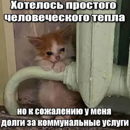 ВС подтвердил, что срок исковой давности в три года препятствует включению давних долгов за капремонт в платежки и их принудительному взысканию.