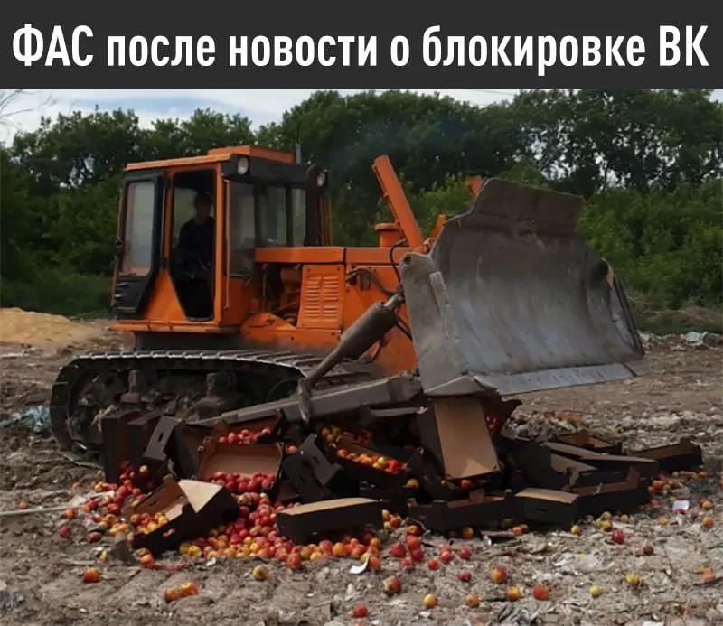 Антимонопольная служба потребовала от Apple восстановить равные условия для российских поисковых систем и предустановку отечественных приложений до 15 июля; в противном случае регулятор может возбудить дело — штраф до 4 млрд рублей.