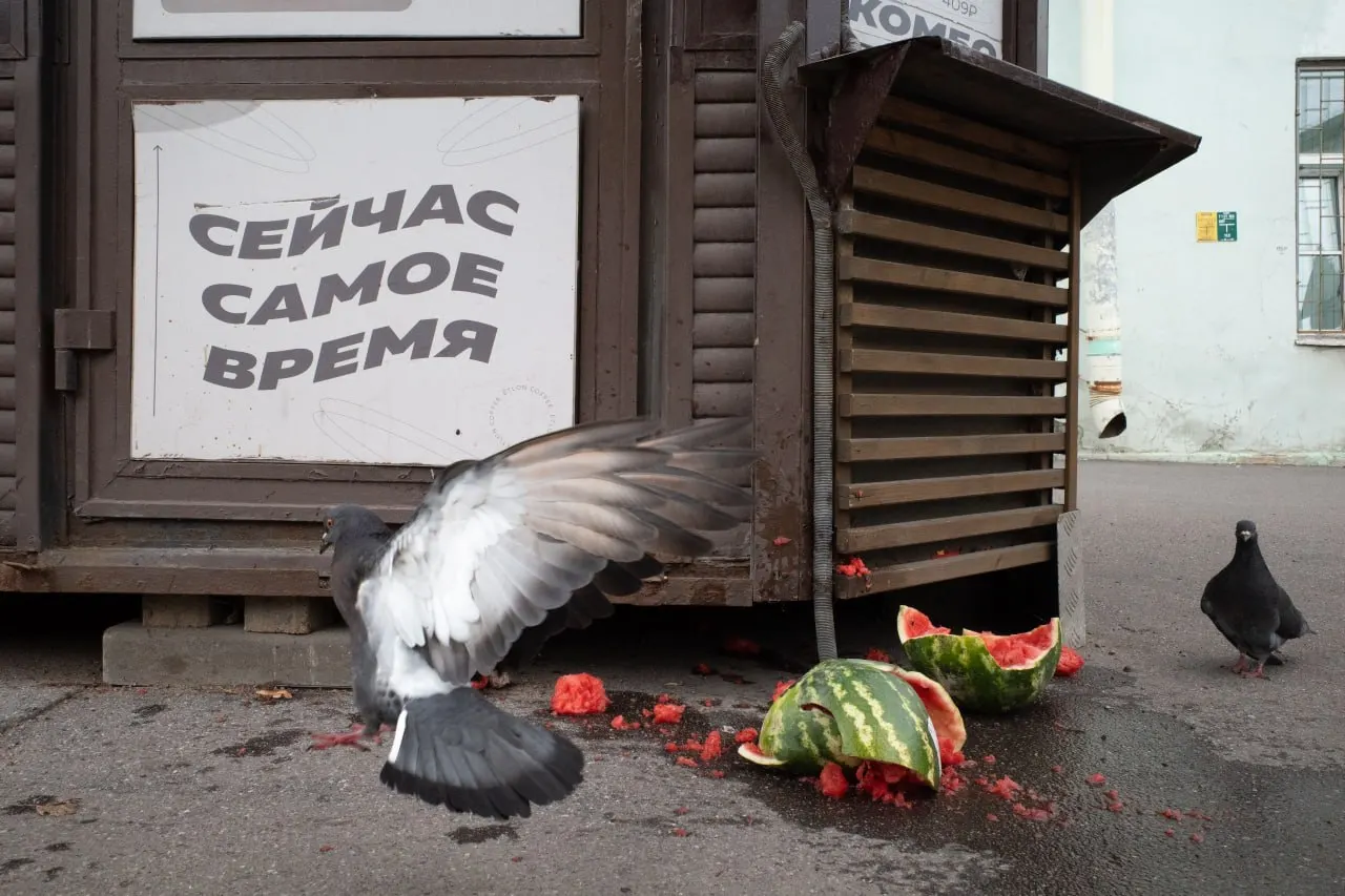 События в Петербурге и Ленобласти переплетаются с политическими процессами по всей стране и за рубежом.