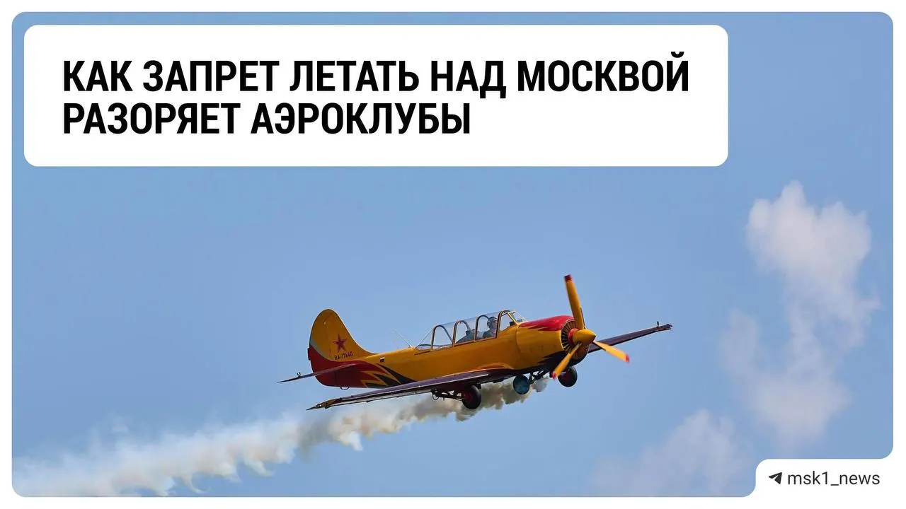 Из-за запрета на полёты лёгких самолётов аэроклубы Подмосковья сталкиваются с падением выручки и неопределённостью на предстоящий сезон.
