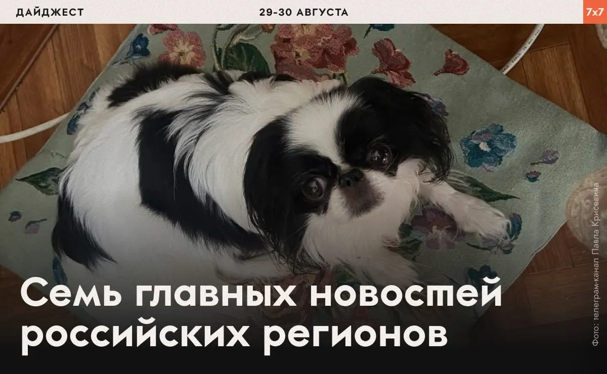 Краткий обзор нарушений правозащитников, арестов и запретов на агитацию, охватывающий несколько регионов страны.