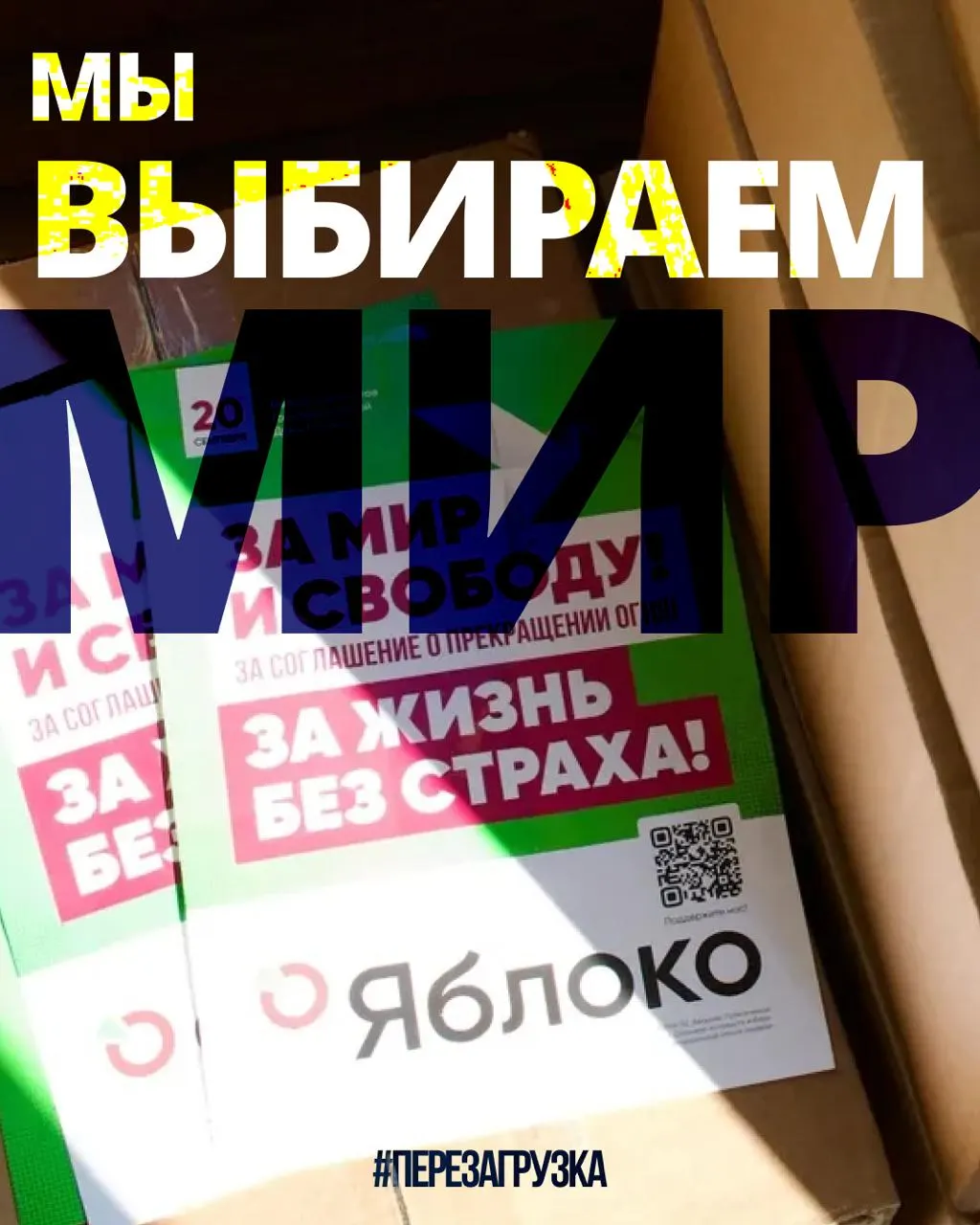 Кампании в 53 регионах охватывают 135 кандидатов. Рост поддержки в Москве и за рубежом, апелляция в Верховный суд и призыв выбрать мир 20 сентября.