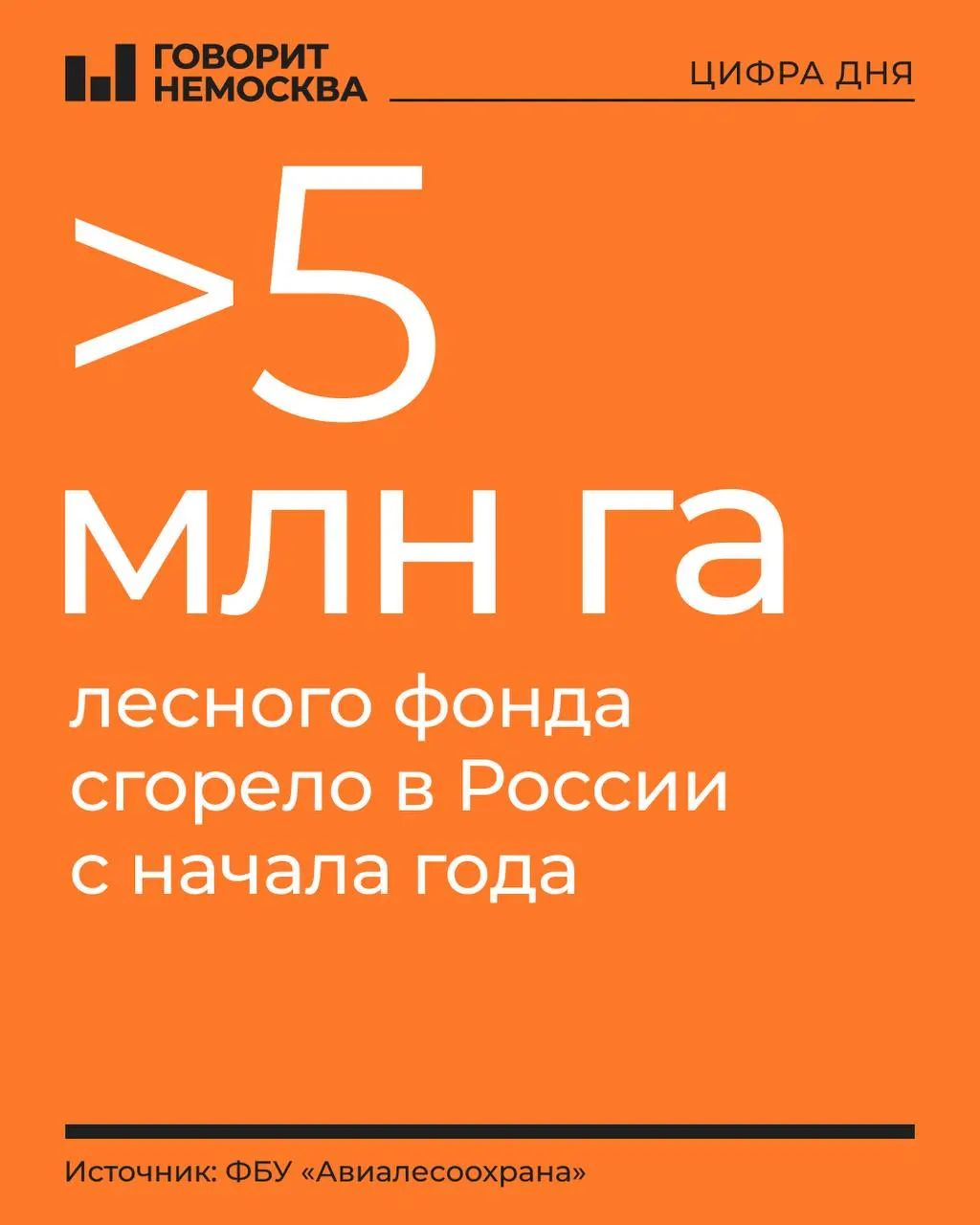 Лесные пожары охватили Россию: по стране зафиксированы масштабные возгорания и значительный ущерб, особенно в Дальнем Востоке и Сибири.