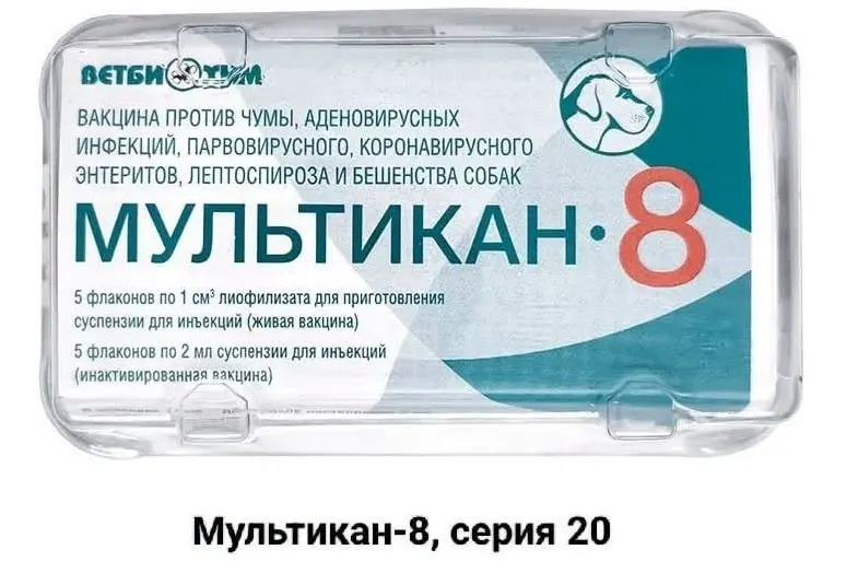 Владельцы домашних животных требуют независимого расследования гибели собак после вакцинации сериями «Мультикан-8», сообщив о задержках в анализах и возможном замалчивании обстоятельств.