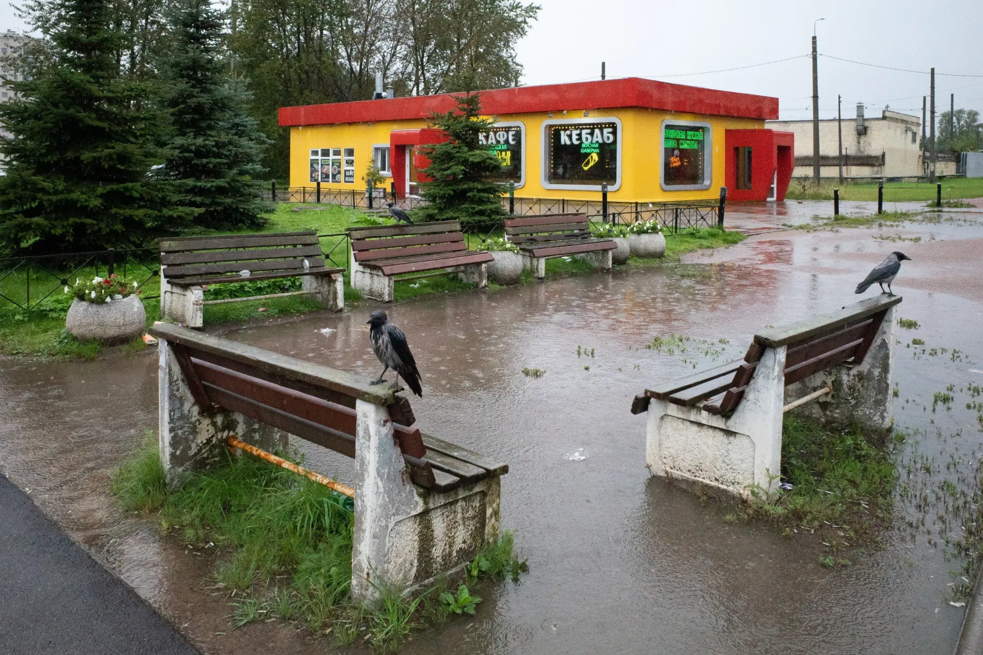 Коротко: в Санкт-Петербурге идут бракоразводные споры, церковные оценки и политические заявления; в России — серия инцидентов и правовых решений; в мире — финская граница и новые военные события.